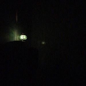 Meet your Posher, Bernice